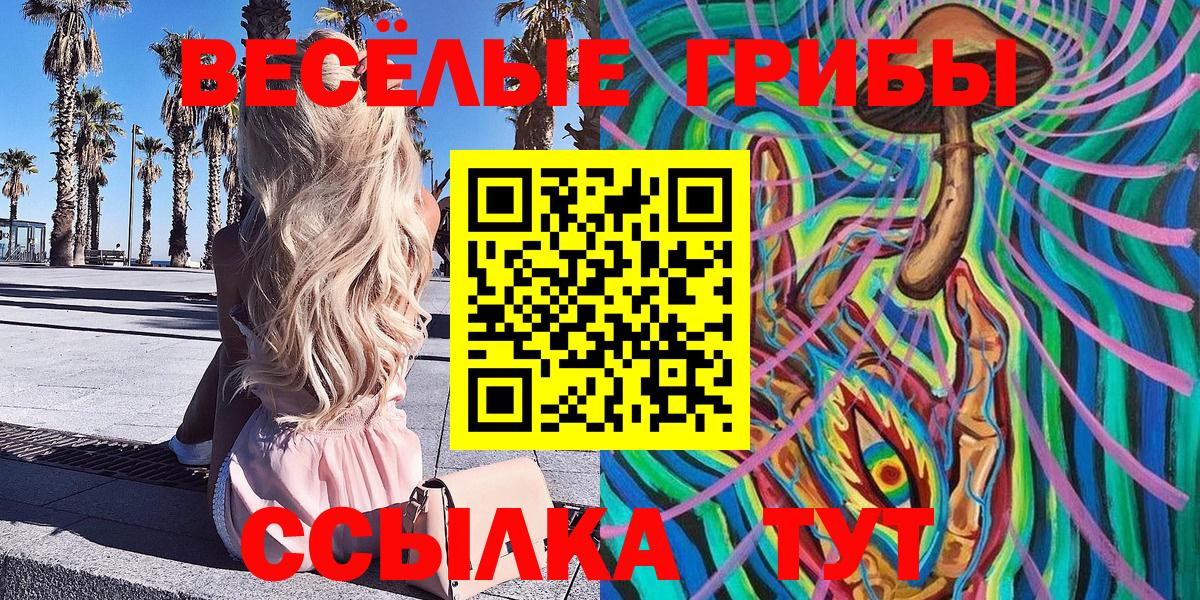 как найти   Псилоцибиновые грибы прущие грибы  Вход с VPN  Азнакаево 